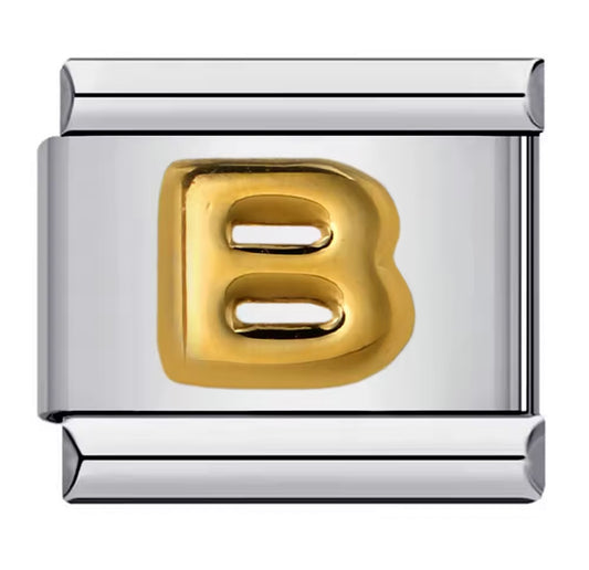 B Initial Charm