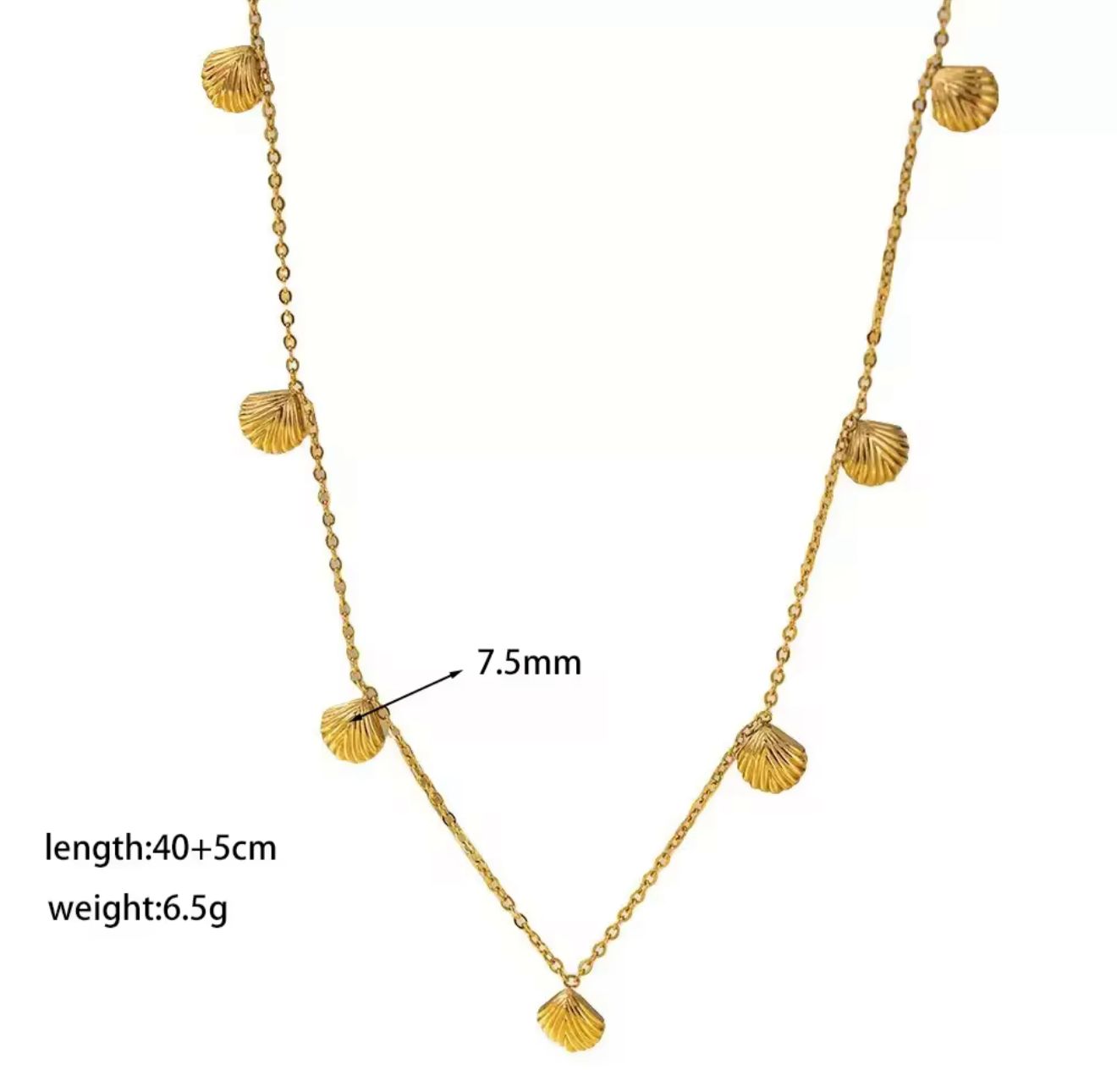 Seashell Necklace