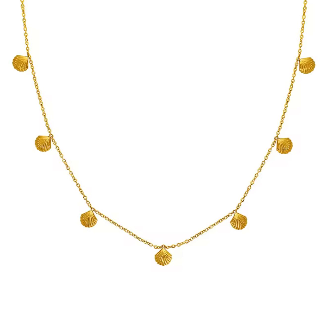 Seashell Necklace