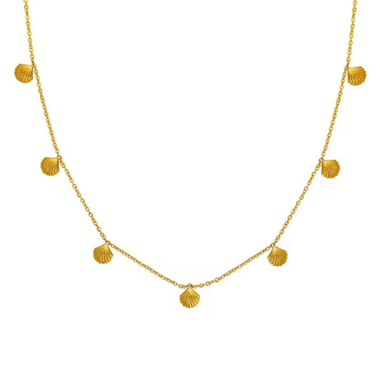 Seashell Necklace