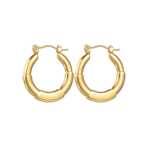 Layered Circular Earrings