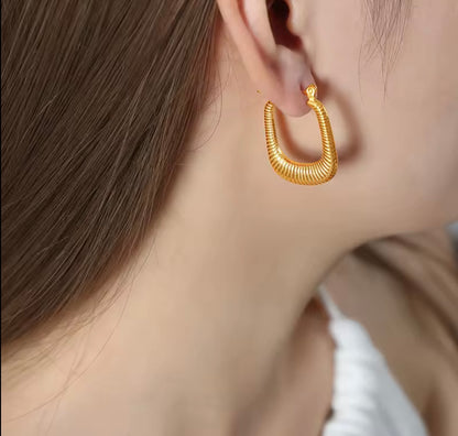 Heart Shaped Earrings