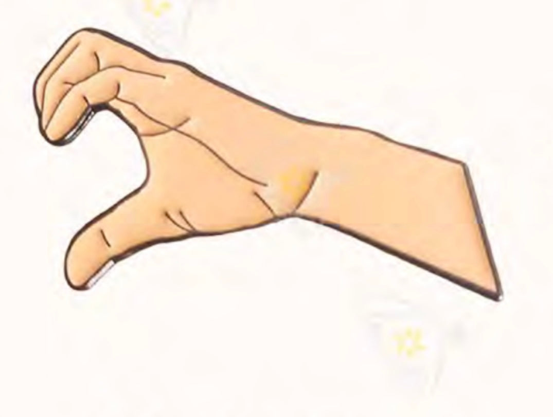 Hand gesture Badge (LHS)