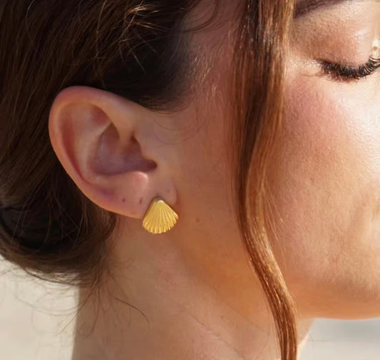 Shell Earrings