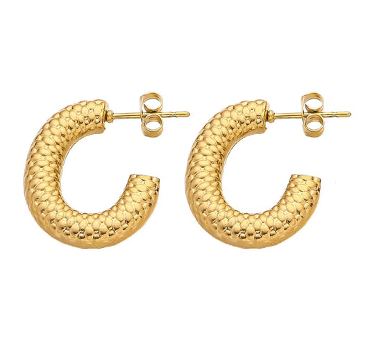 Semi Circular Earrings