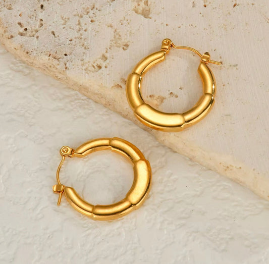 Layered Circular Earrings