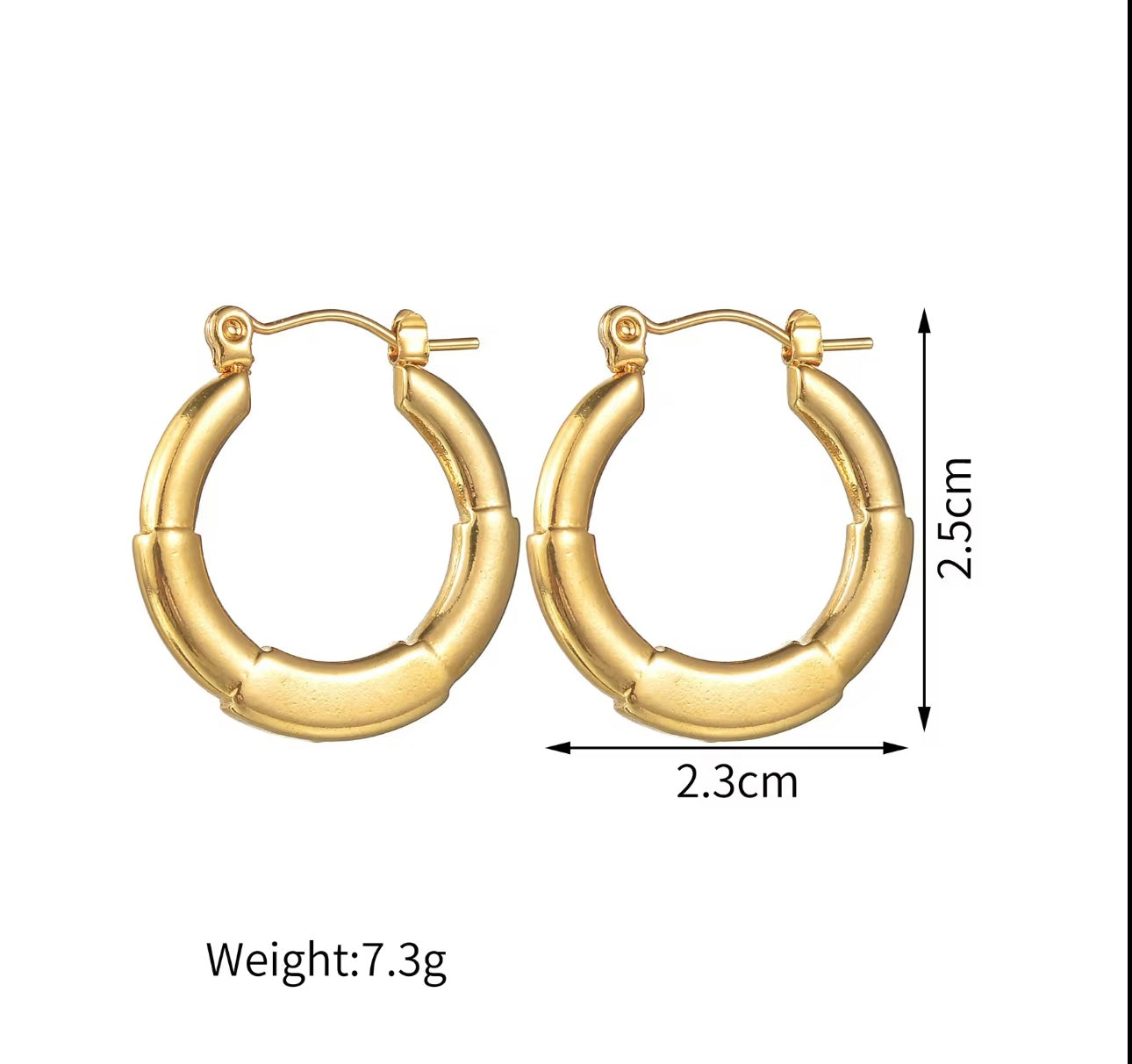 Layered Circular Earrings