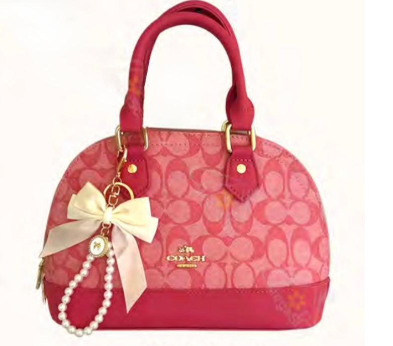 Coach bag Badge