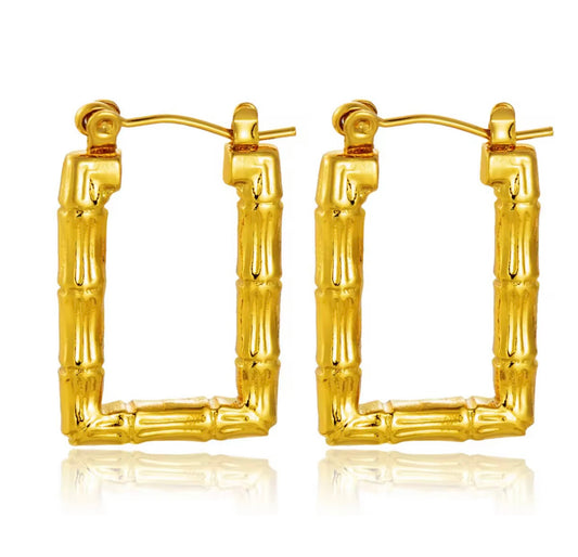 Rectangular Cane Earrings